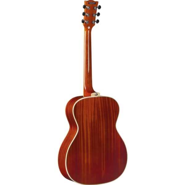 Guitarra Acústica EKO Serie NXT A100 | Cuerpo Delgado | Color Natural | NXT A100 NAT - 06217335 - Imagen 4