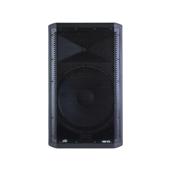 Bocina Amplificada Con Bluetooth De 15" | AQ-15 - 721980