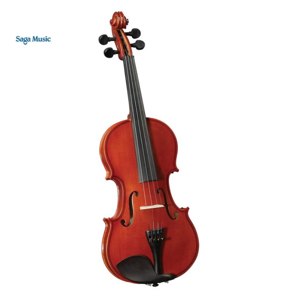 Violin Cervini 1/2 Color Madera Con Estuche, Arco Y Cera - HV-100 1/2 - 854793